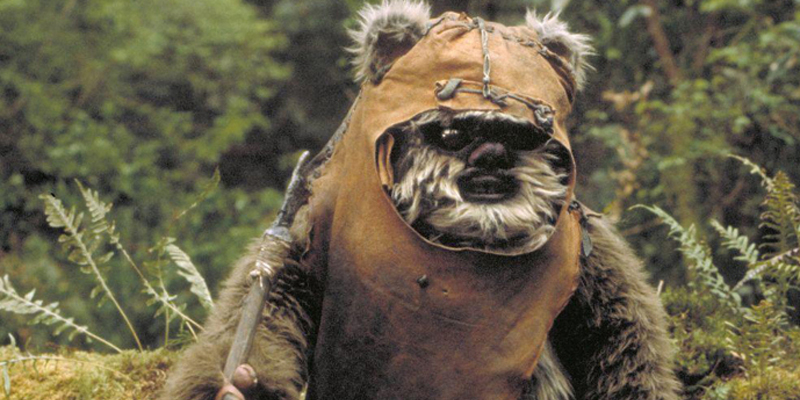 Ewok banner
